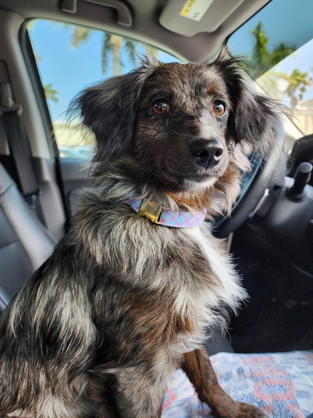 Resized 20240328 125818 1711645170021