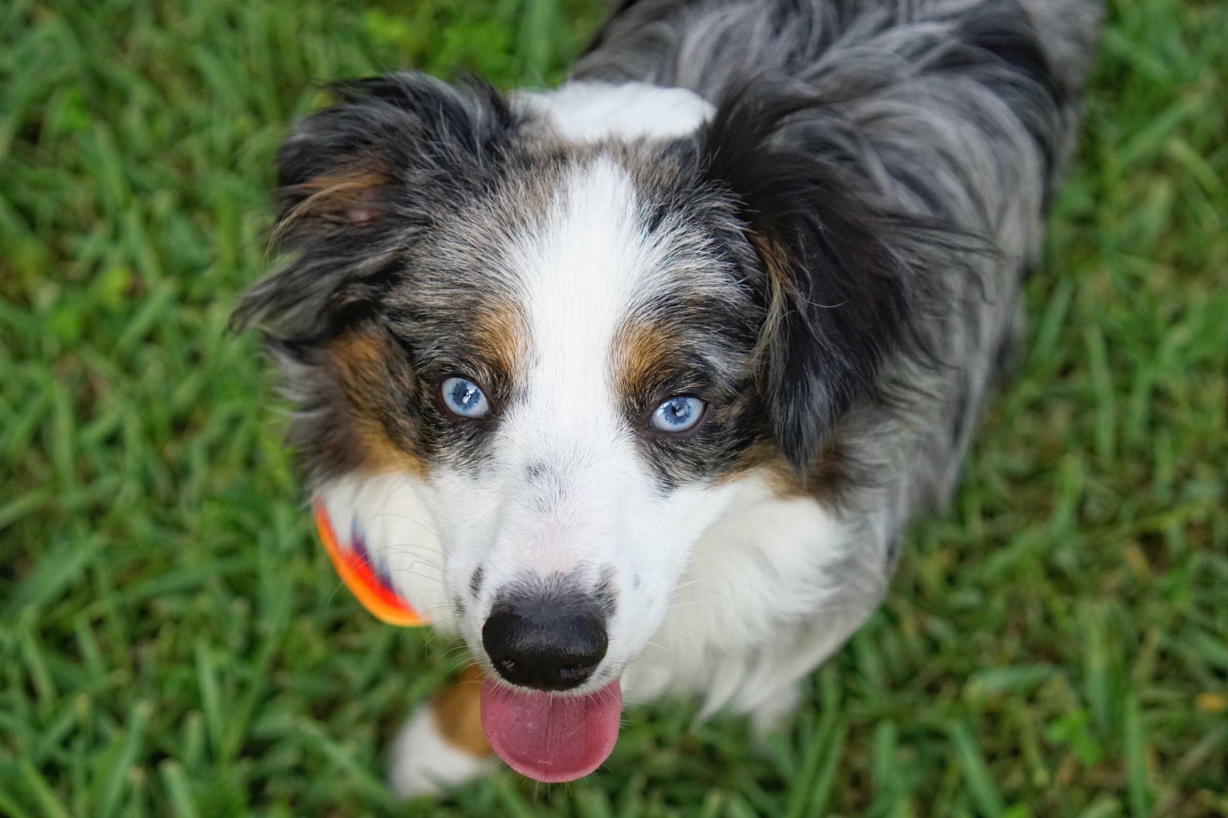 87ad5812 7a0a 4f2d B0ad 720a4769a0c7