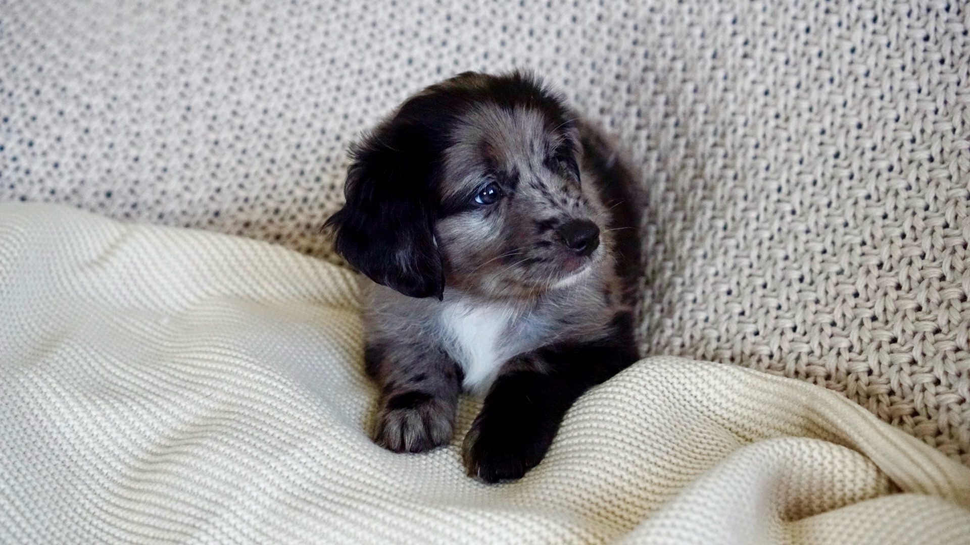 River Spring  2024 01