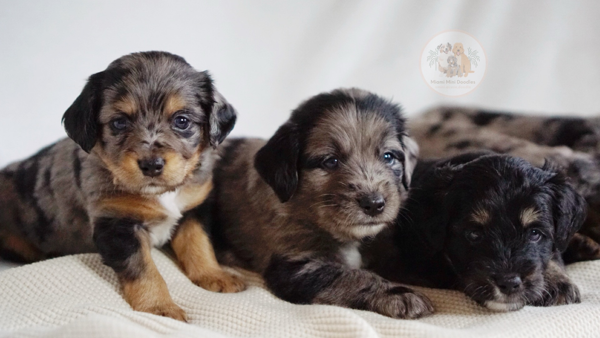 Bddc6c4a 8642 48f3 8db4 A457e402666c