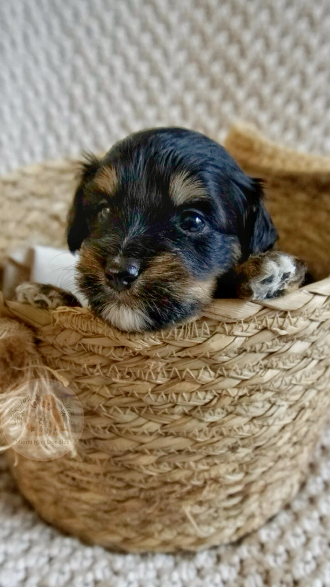 Lucy Joy Nye 2025 02