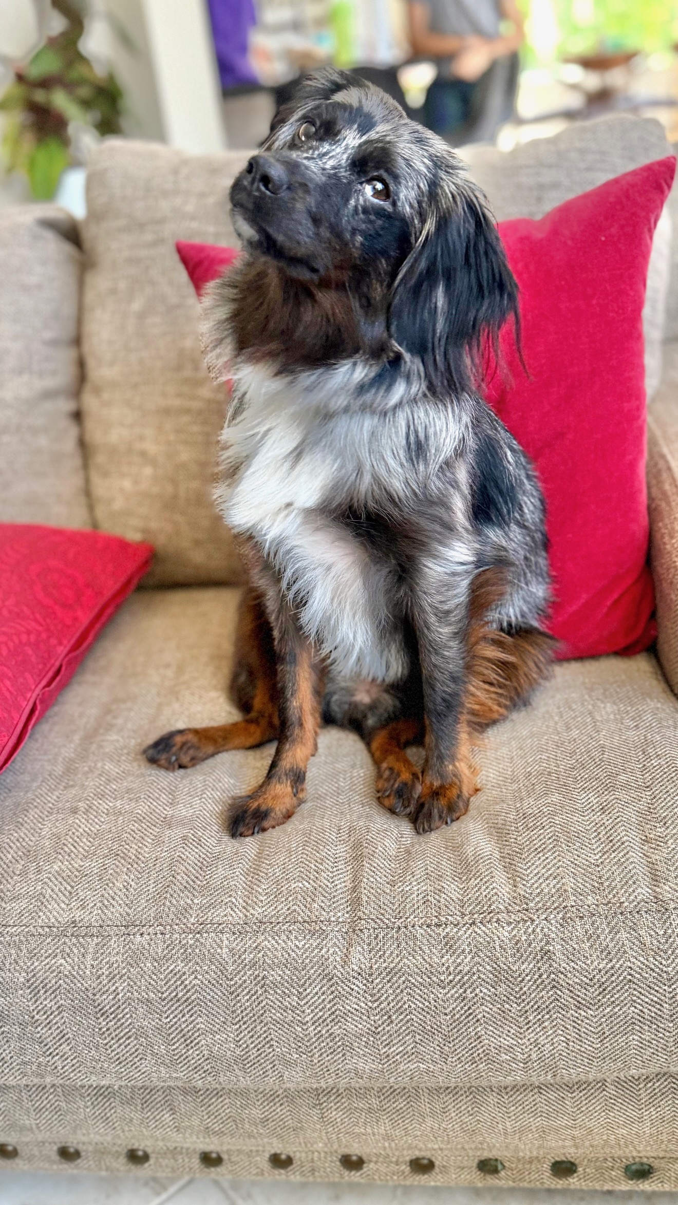 93 F3 B871 1 D13 4888 89 Fb E7 B6 D51 A8 a D3