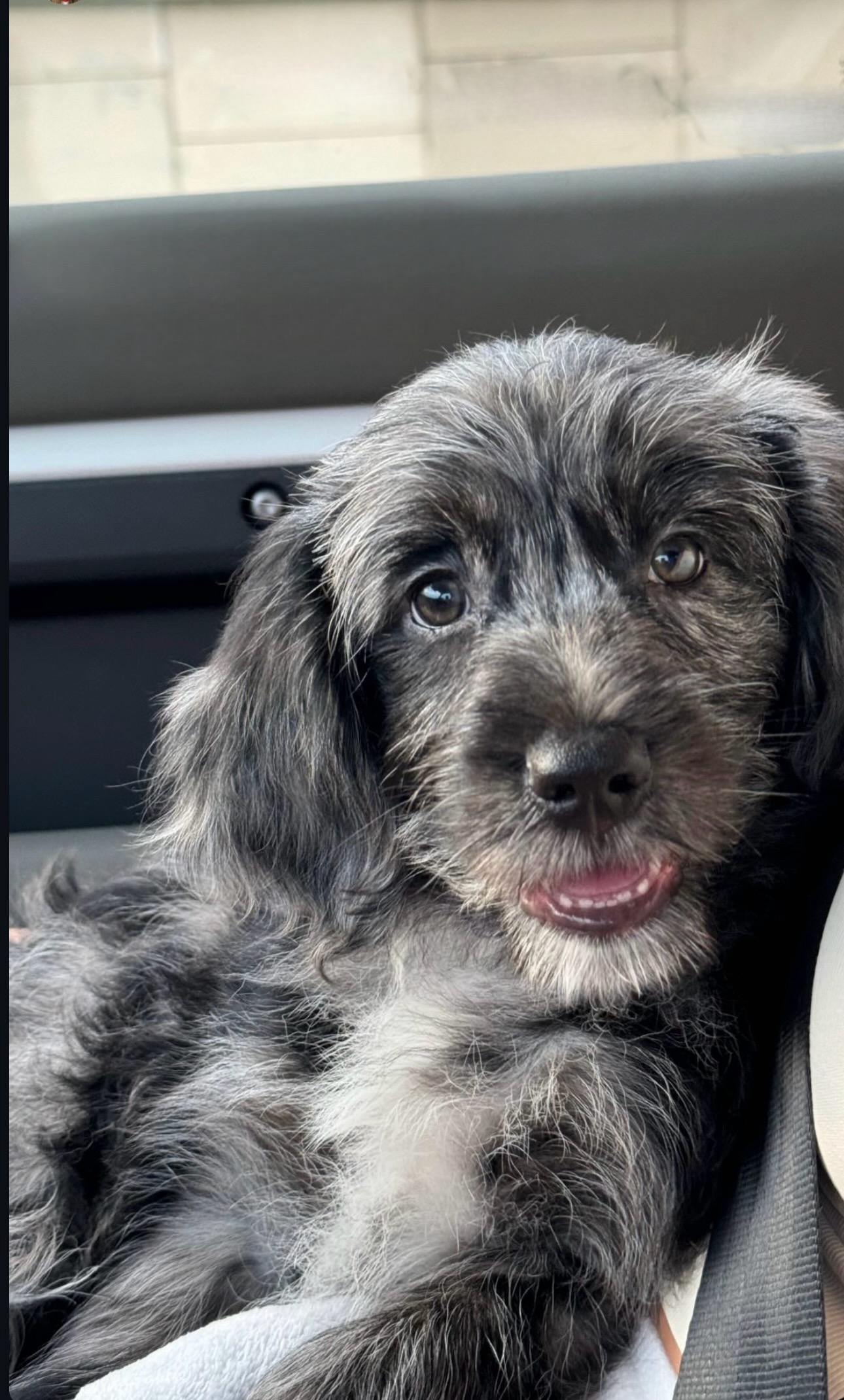 Facetune 29 07 2024 09 57 25