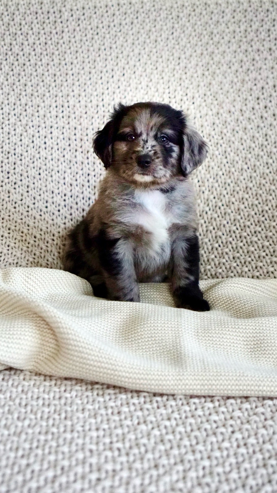 River Spring  2024 00