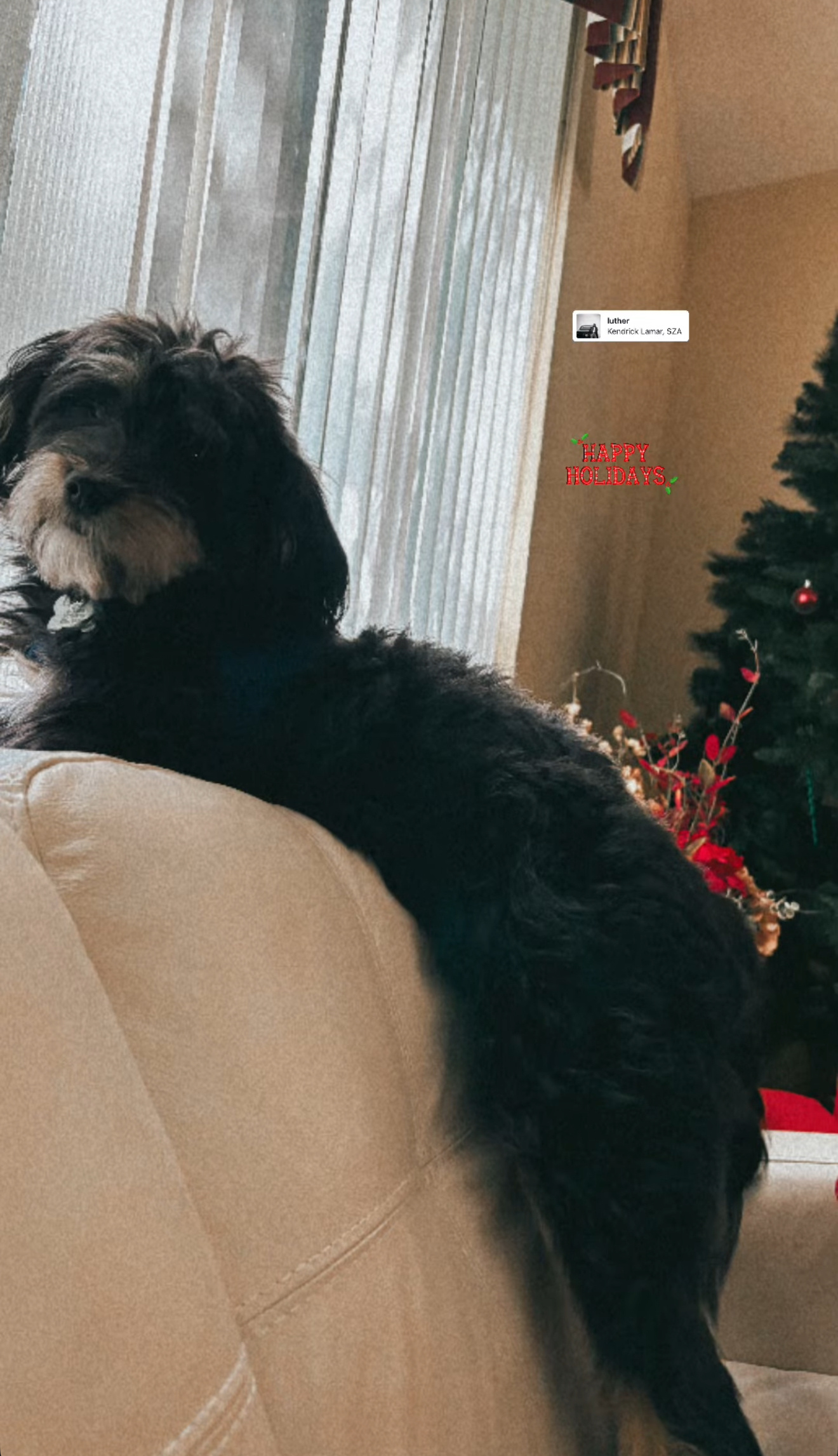 Bhumi Spring 2024 02