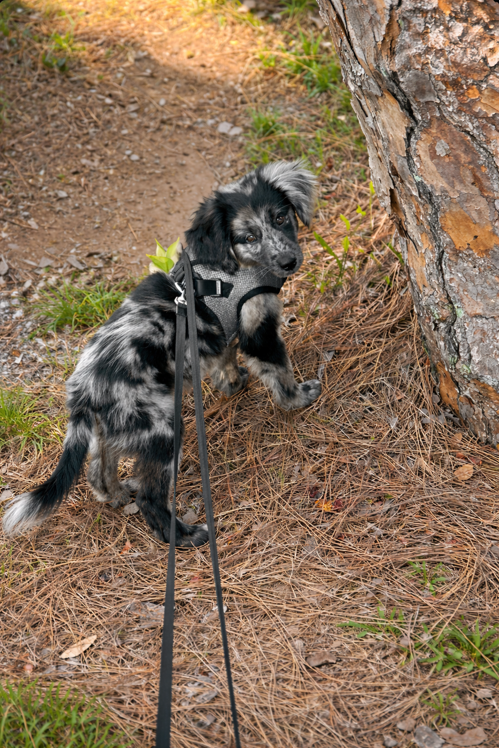 River Spring  2024 02