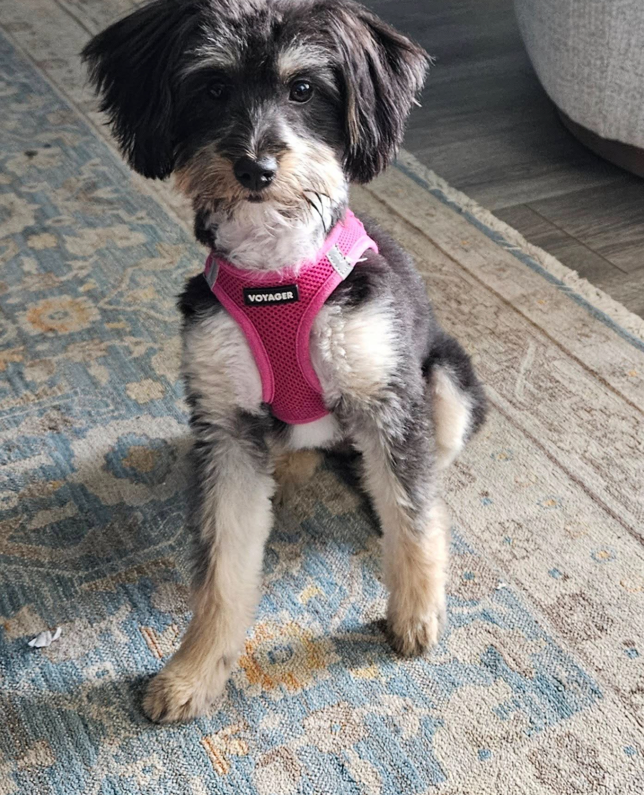 Lucy Joy Nye 2025 00