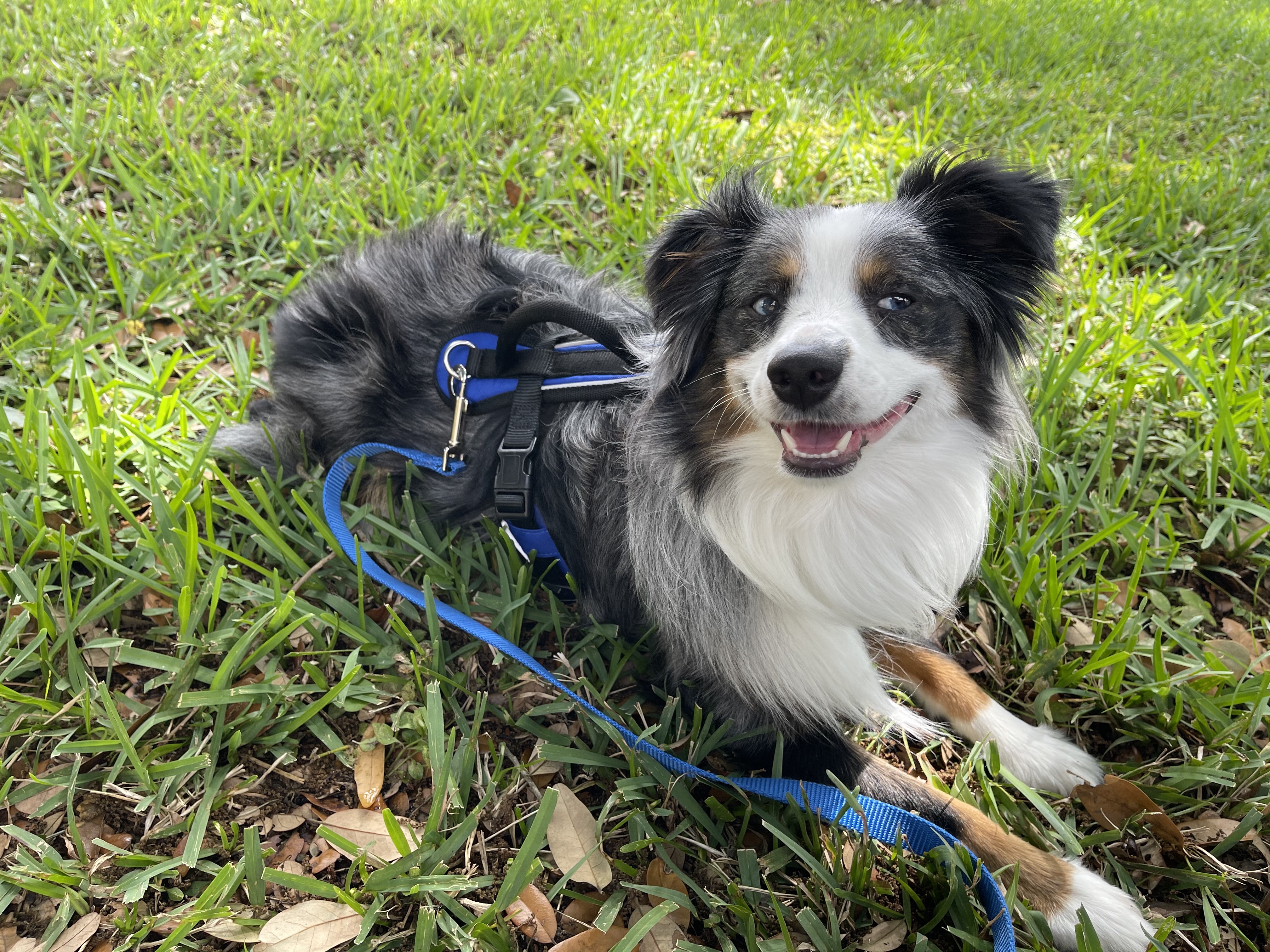 F7b593cc 6855 4a5f B81c B4463328a045