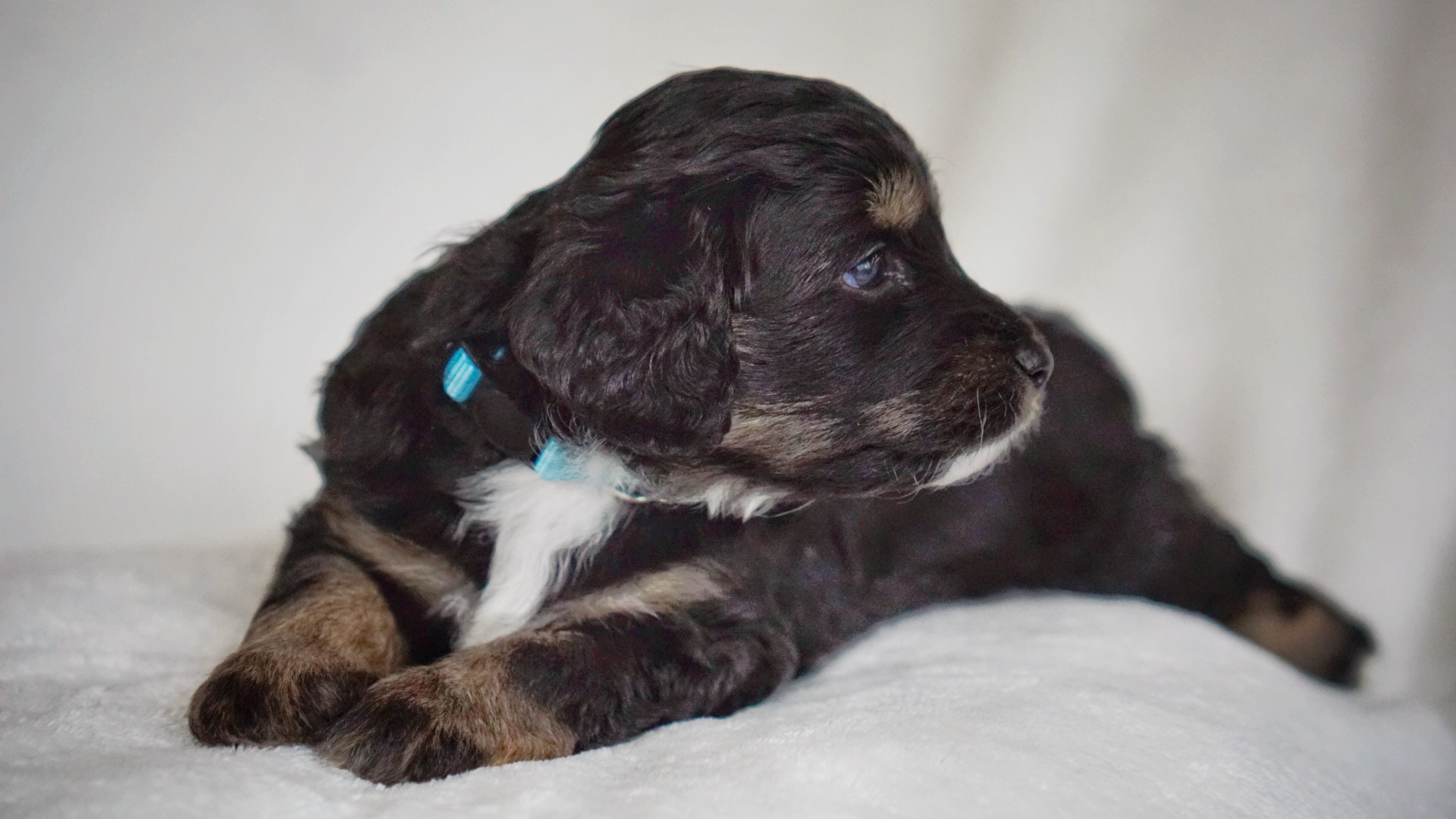 Bhumi Spring 2024 00