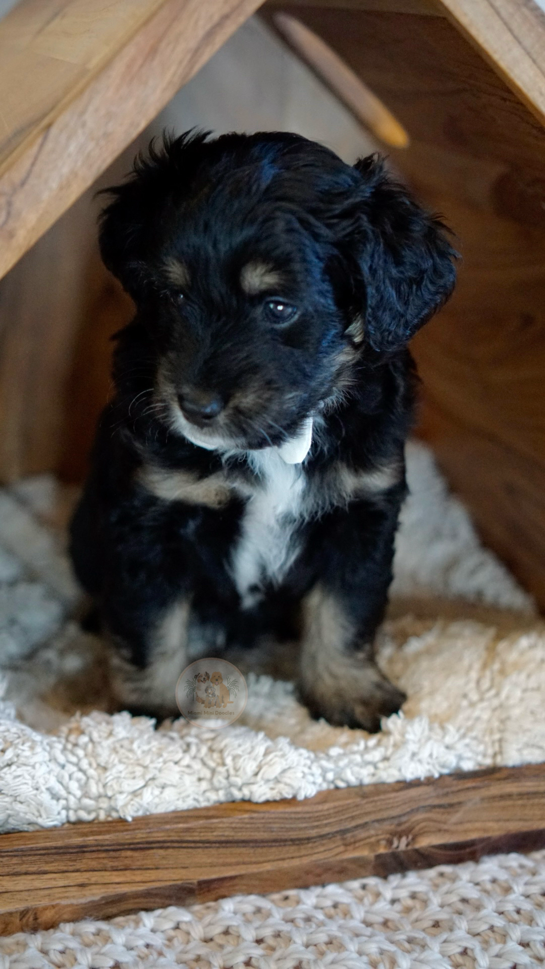 Bhumi Spring 2024 01