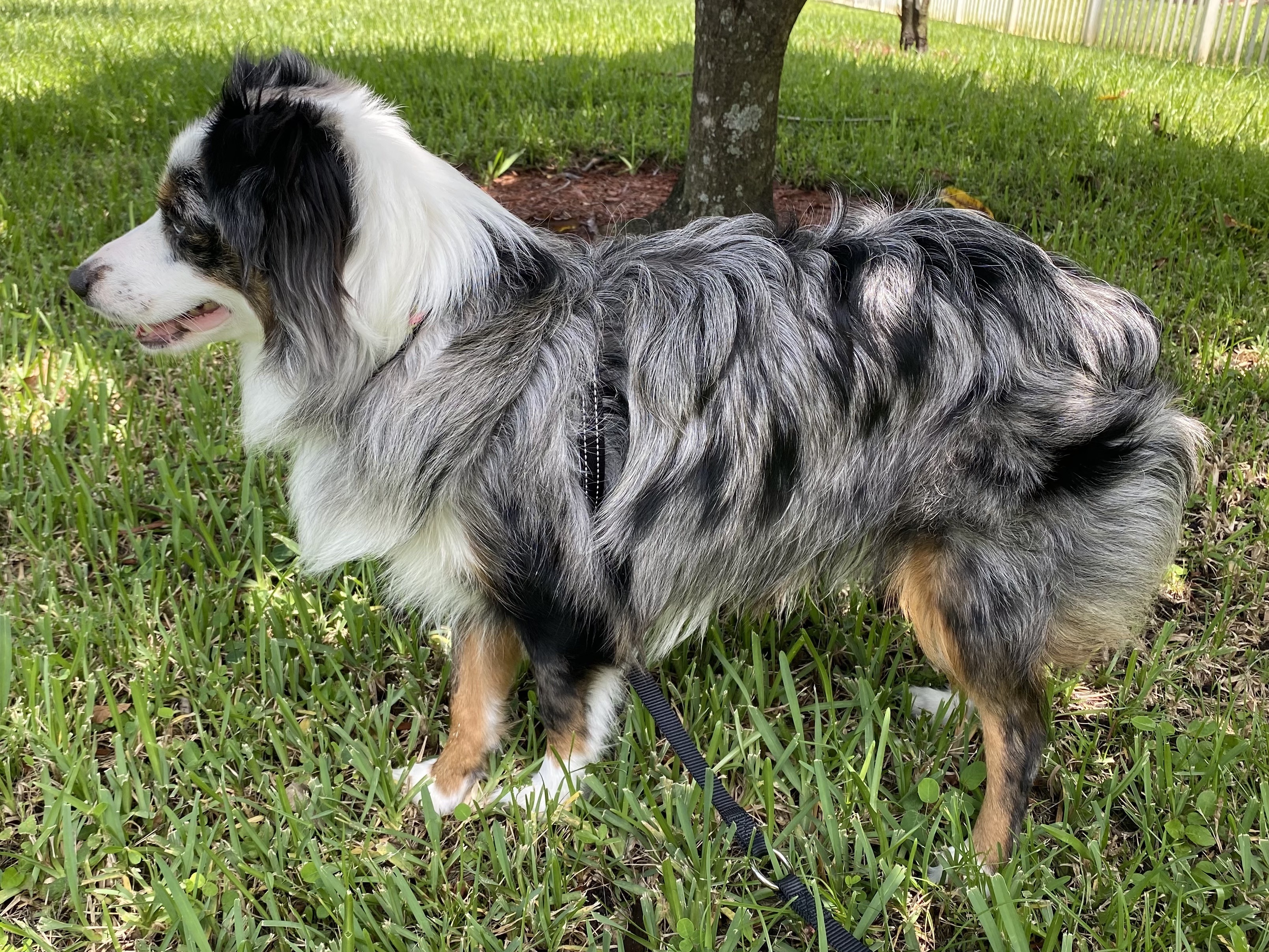 Cc453693 4d53 4b92 A06a 023886355062